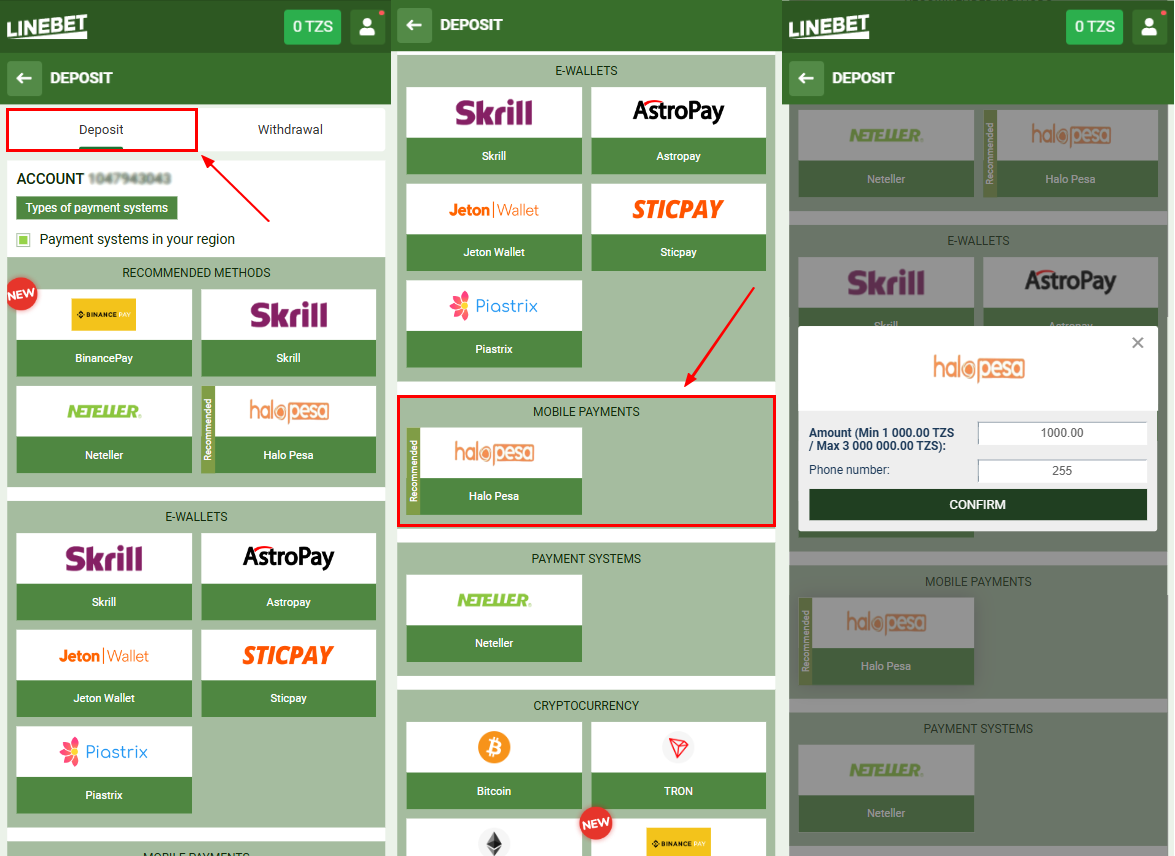 LineBet deposit algorithm